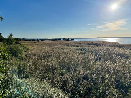 23-09-24 17-30-36 7409